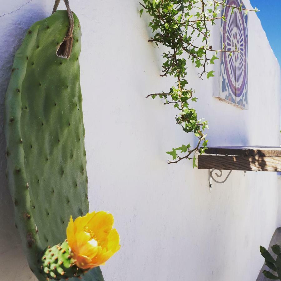 L'Angolo Di Ostuni - Home&Terracex4 エクステリア 写真